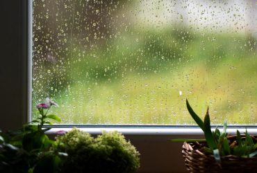 Начало августа удивит украинцев нестабильной погодой и обилием дождей - прогноз