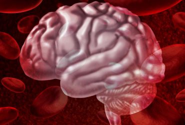 Мозг хранит не менее трех копий каждого воспоминания, - ученые