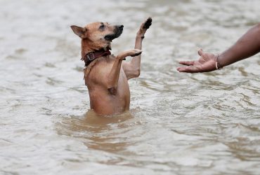 Flooding in Sri Lanka