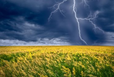 На сегодня в Украине объявили штормовое предупреждение: где ухудшится погода (карта)