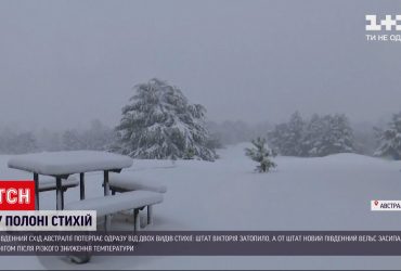 В одному з австралійських штатів випав сніг