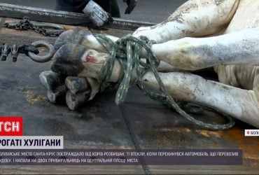 У Болівії 17 корів випали під час транспортування і атакували містян (відео)