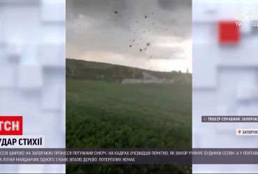У Запорізькій області пронісся потужний смерч, а у Полтаві вітер повалив дерево