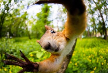 В среду в Украину ворвется долгожданное похолодание (карты)