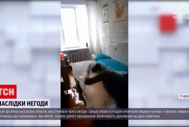 Вісім десятків населених пунктів знеструмлені через негоду