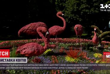 У центрі Києві з'явилися дикі тварини аж п'ять метрів у висоту