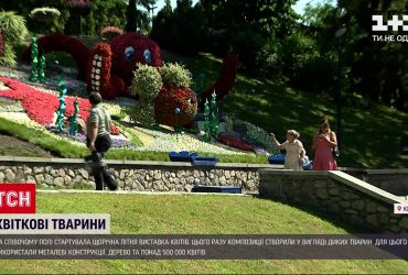 На "Співочому полі" в Києві стартувала щорічна літня виставка квітів