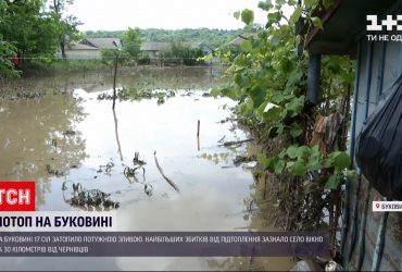 На Буковині збитки від повені склали десятки мільйонів гривень