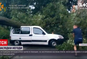 У Рівненській області через негоду без світла лишилися майже 350 населених пунктів