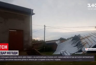 В Черкасской области молния лишила жизни двух человек