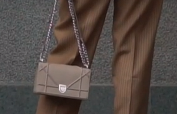 "Слуга народу" прийшла до Ради з сумочкою Dior за 62 тисячі (відео)