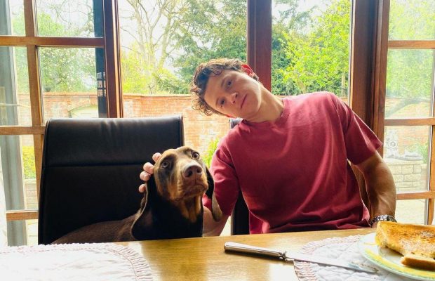 Тому Холланду не дозволили зняти постільну сцену в "Людині-павуку" - ЗМІ