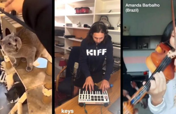Занурює в транс: кіт "записав" трек з музикантами з усього світу і порвав мережу (відео)