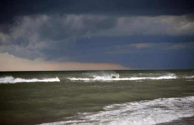 "Оливковий прилив": в Одесі море "зацвіло" потенційно токсичними бактеріями (фото)