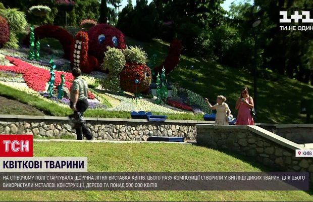 У Києві на Співочому полі відкрилася щорічна виставка квітів (відео)