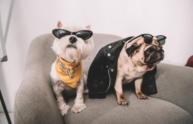 2 липня 2021 - яке сьогодні свято, прикмети та іменинники, що сьогодні не можна робити