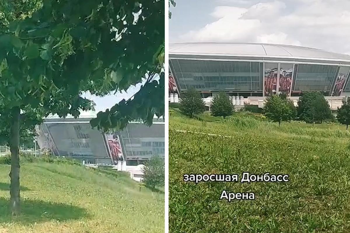Територія стадіону заросла травою / скріншот Територія стадіону заросла травою / скріншот
