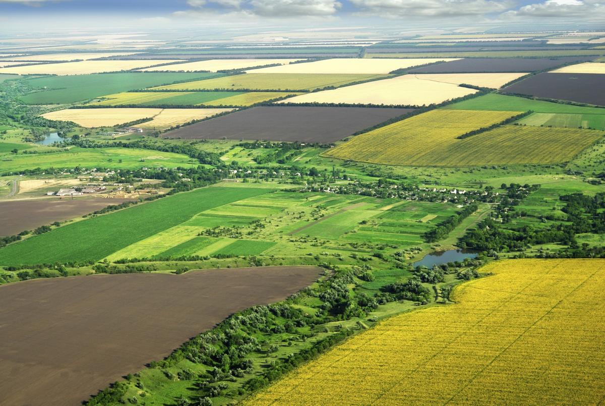 В Україні запрацював безкоштовний Viber-бот LandInvest для перевірки пайових ділянок у держреєстрах В Україні запрацював безкоштовний Viber-бот LandInvest для перевірки пайових ділянок у держреєстрах