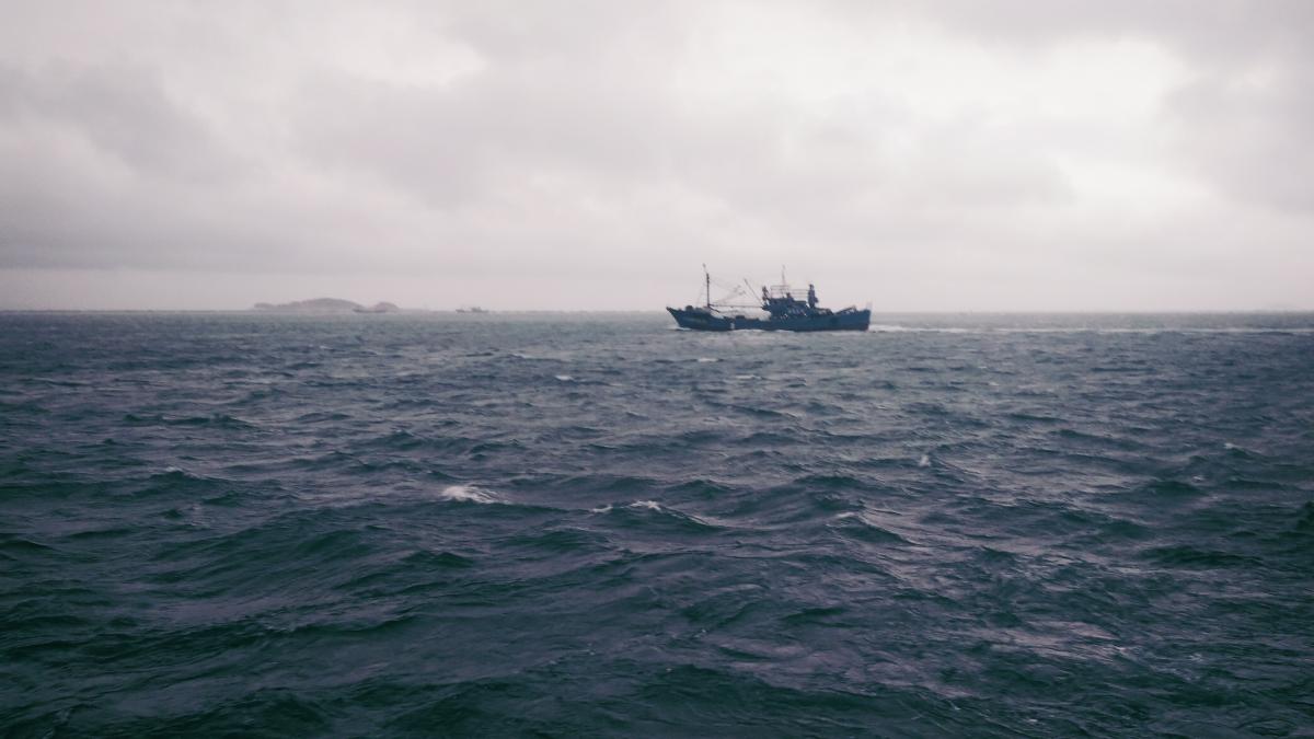 Polish border guards detained a Russian ship in the Baltic Sea / photo: ua.depositphotos.com