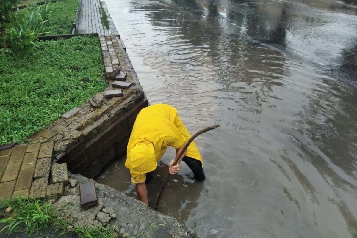 Ливень в городе фото