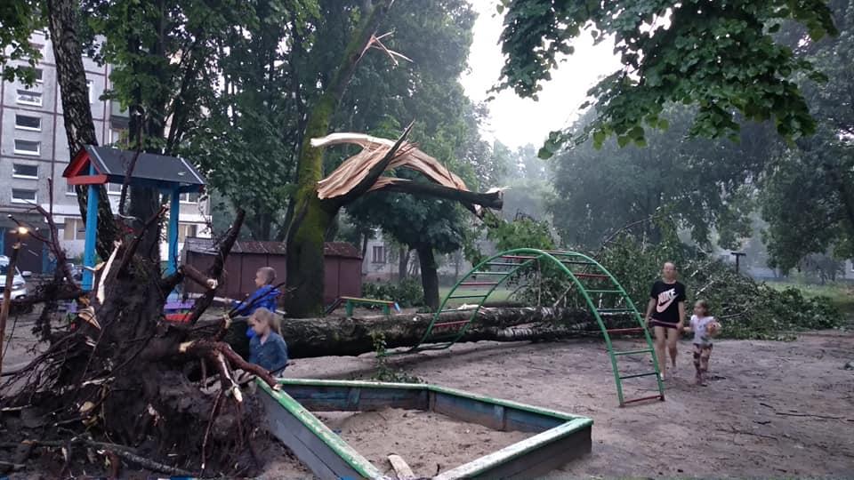 Ураган в Житомире наделал бед / фото Oksana Trokoz, Facebook