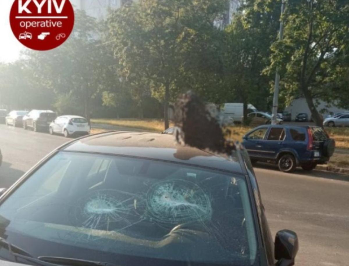 Коровью голову неизвестные закинули на крышу автомобиля / фото Киев Оперативный