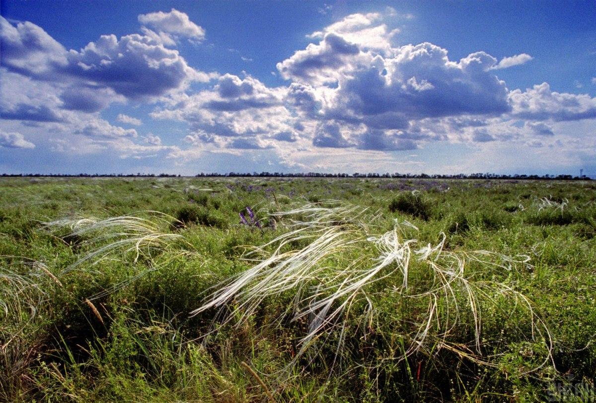 Жара в Украине еще продлится / фото УНИАН Жара в Украине еще продлится / фото УНИАН