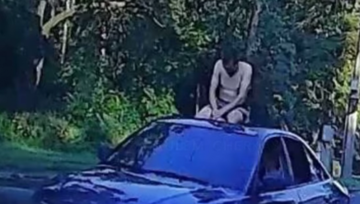 Причины необычного поступка остаются загадкой / фото - facebook.com/za.rulem.cherkasy Причины необычного поступка остаются загадкой / фото - facebook.com/za.rulem.cherkasy