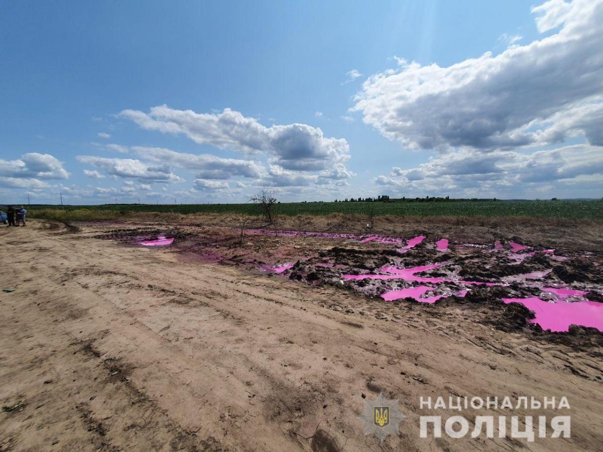 Розовые лужи обнаружили 22 июля-после ЧС на заводе "Ривнеазот" / npu.gov.ua Розовые лужи обнаружили 22 июля-после ЧС на заводе "Ривнеазот" / npu.gov.ua