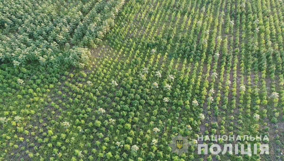 фото Національної поліції фото Національної поліції