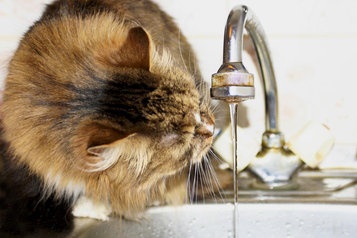 Взимку наш організм потребує більше води, ніж звичайно / фото ua.depositphotos.com Взимку наш організм потребує більше води, ніж звичайно / фото ua.depositphotos.com