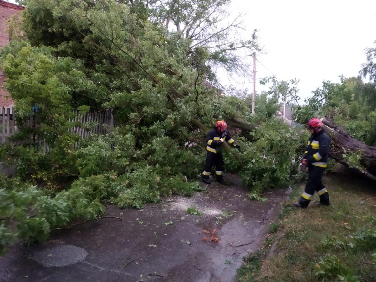 На Рівненщині вирувала негода / фото ДСНС На Рівненщині вирувала негода / фото ДСНС