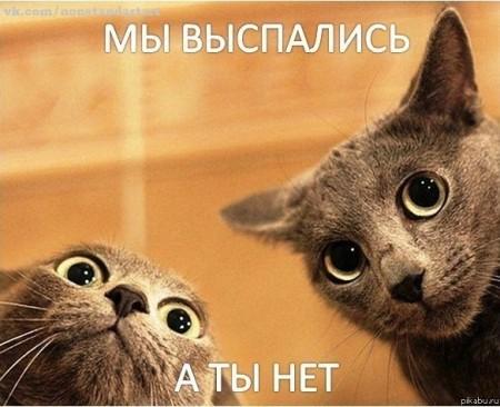 Прикольні листівки Доброго ранку / bipbap.ru Прикольні листівки Доброго ранку / bipbap.ru