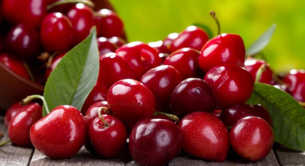 Как хранить вишню - фермеры поделились советами, как не испортить сладкие плоды