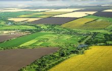 В Украине заработал бесплатный Viber-бот LandInvest для проверки паевых участков в госреестрах