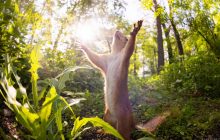 Температурні контрасти лише посиляться: яка погода чекає на українців сьогодні (карта)