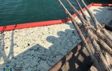 В Одесской области в Черное море сбросили 8,5 тонн пальмового масла (фото)