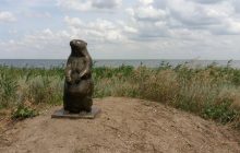 В Одесской области из-за пестицидов погибли тысячи птиц и животных