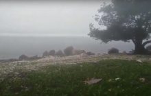 На Кубу обрушился тропический шторм (видео)