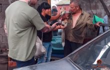 В Днепре забрали в приют лисят, которые жили в пункте приема стеклотары (фото)
