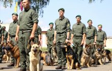 Собаки пограничников впервые станут участниками парада ко Дню Независимости (фото)