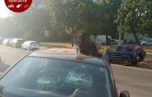Голова коровы на крыше: владельцем автомобиля оказалась женщина - как она объясняет месть