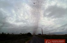 Очевидці зняли "комариний смерч" на Камчатці (відео)