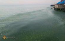 У Затоці знайшли мертвим зниклого 13-річного хлопчика