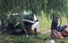 Під Луцьком легковий автомобіль з 12 людьми влетів у дерево (фото)