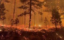 Вогняний апокаліпсис: США охопили масштабні лісові пожежі (фоторепортаж, відео)