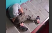 В Харькове взбешенный пес растерзал двух человек прямо в подъезде (видео)