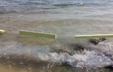 Тысячи медуз попали в ловушку: в Кирилловке расставили барьерные сети – зачем они и как работают (видео)