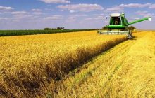 Продать земельный участок можно легко и безопасно с онлайн-платформой LandInvest