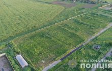 Сеяли спецтехникой, охраняли с башни: на Херсонщине нашли рекордное поле конопли (фото, видео)